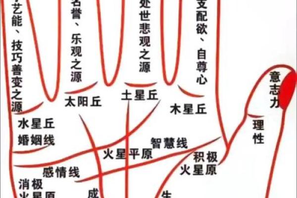 悬针纹与命运：掌纹背后的深刻含义你知道吗