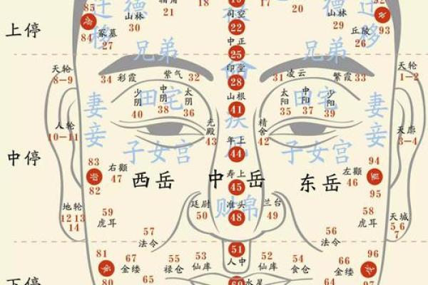 面相揭秘：伤疤背后的运势秘密，揭秘人生转折点