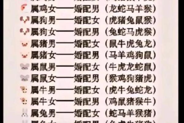属猪男如何提升运势