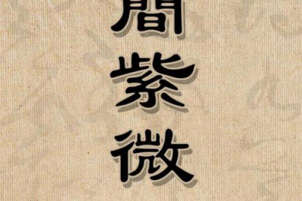 揭秘9宫命：揭秘命运轨迹，解锁人生密码