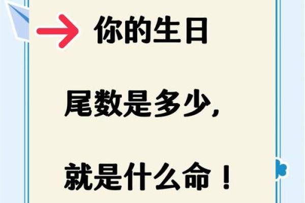 揭秘9宫命：揭秘命运轨迹，解锁人生密码