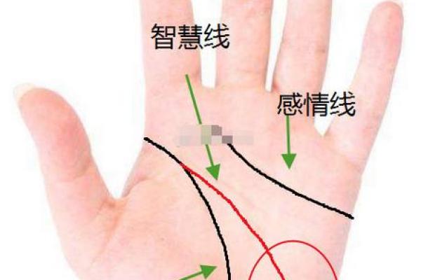 揭秘双手成功线：掌握运势，开启人生辉煌