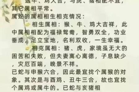 牛虎相配，能碰撞出怎样的火花？