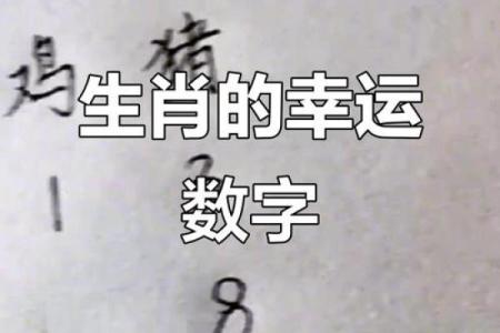 土命人必看：揭秘你命中的幸运数字