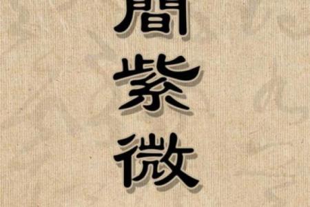 揭秘9宫命：揭秘命运轨迹，解锁人生密码