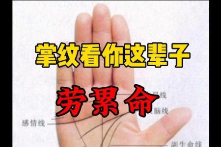 手相无斗，命运何其神秘揭秘手相奥秘，让你一眼看穿人生