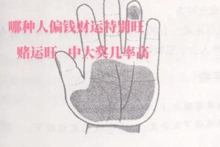 揭秘双手成功线：掌握运势，开启人生辉煌