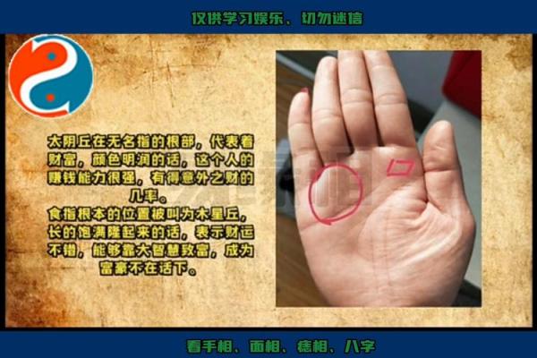 揭秘手背汗毛手相：揭秘财运、健康、人缘的秘密