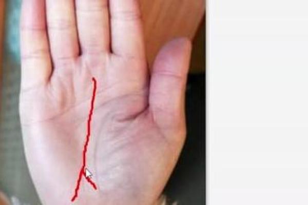 揭秘手背汗毛手相：揭秘财运、健康、人缘的秘密