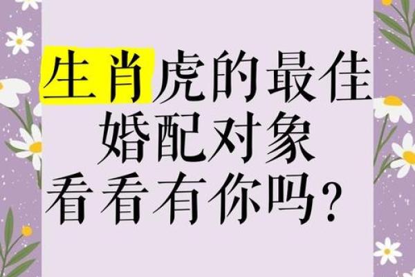 属虎男与属狗女：揭秘生肖配对中的神秘魅力