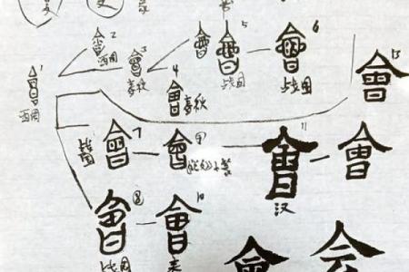 令字五行属什么？这五个关键点你必须了解