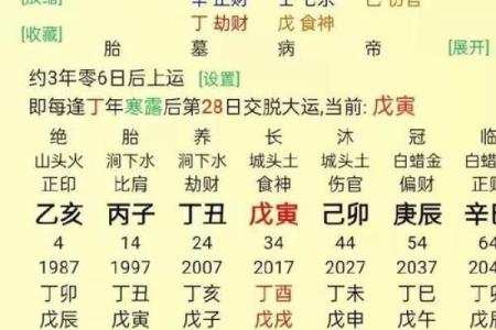 免费生辰八字算财运，准确预测你的财运走向