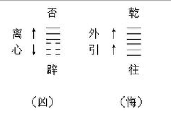 安卓手机必备！小成图排盘精准预测你的未来