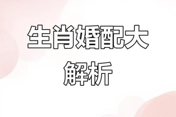 生肖秘闻：马年最旺的属相搭配大公开