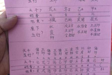 乙天干地支：揭开命理奥秘，探索乙木的深层含义