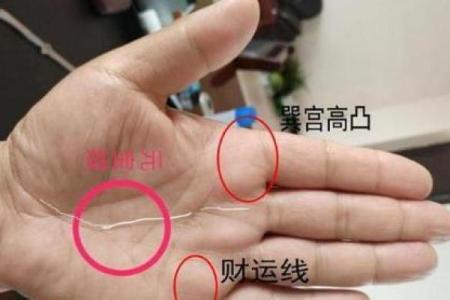 揭秘元宝文手相，财运亨通的秘密都在这里