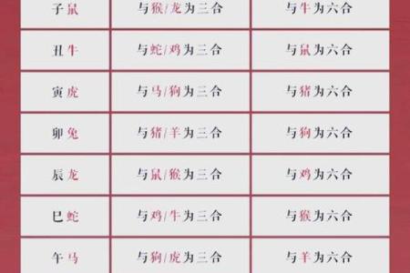 生肖秘闻：马年最旺的属相搭配大公开