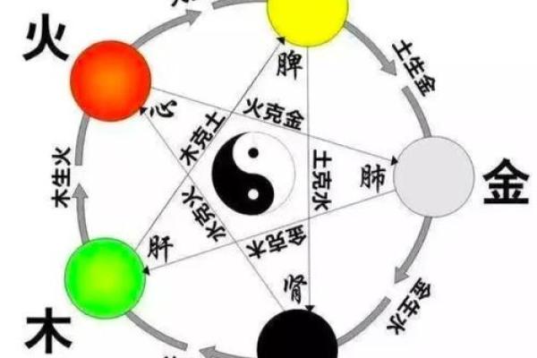 五行智慧深度解析：智与五行的独特关联