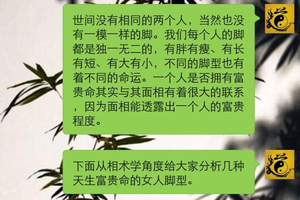 小贵的命是什么意思？揭秘命运背后的惊人真相