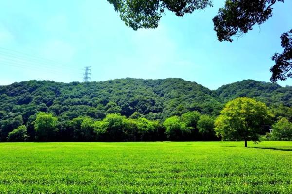 容县南山：揭秘千年风水宝地，藏龙卧虎之地等你探寻