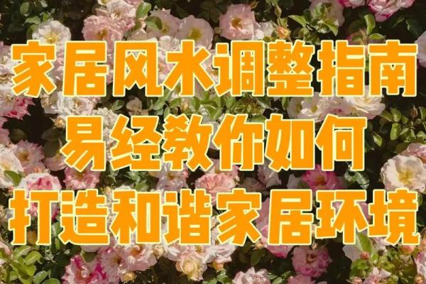 易经风水，每日一学，掌握家居运势密码
