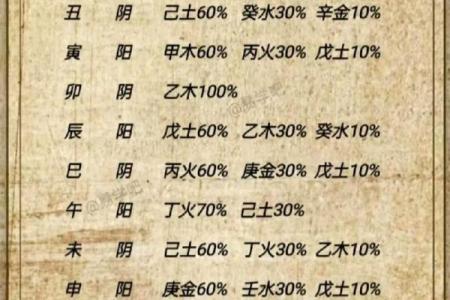 深入解析天干地支藏干表：易学必备宝典