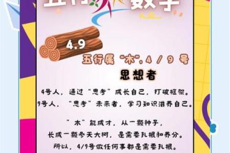 数字行属什么？揭秘五行与数字的神秘关联