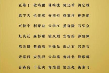 让人一听就记住的自然教育公司名字推荐