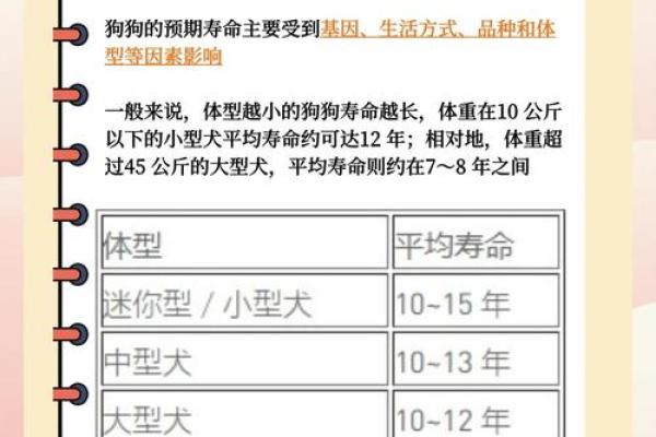 狗年命格揭秘：1970年出生的你，命运有何不同？