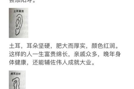耳朵大福泽深，小耳聚财运势旺——揭秘小耳面相的秘密