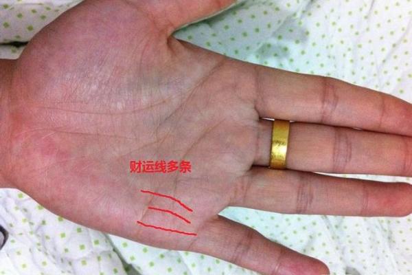 手相揭秘：金水相生，财运亨通的秘密