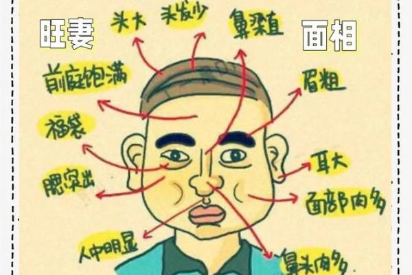 男相女貌，揭秘面相中的神秘魅力