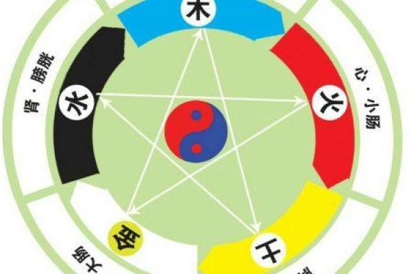 连字五行属什么 解析揭秘