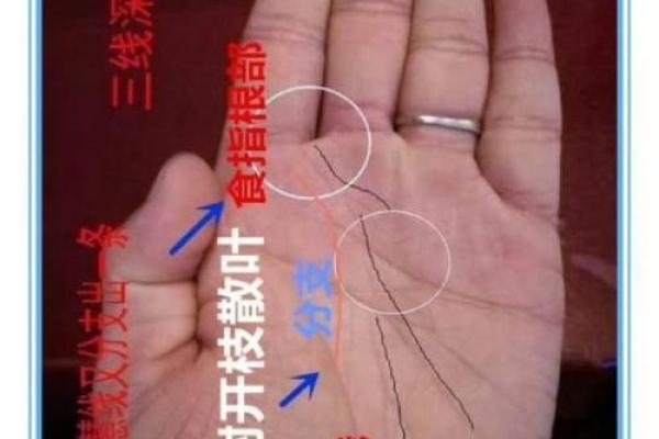 手相揭秘：离宫田米暗示你的财富命运