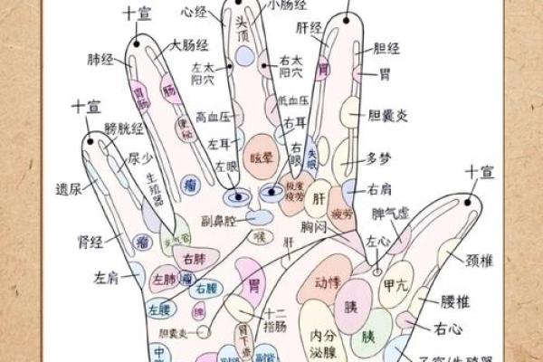 揭秘手相奥秘：掌握这些技巧，轻松促进健康长寿