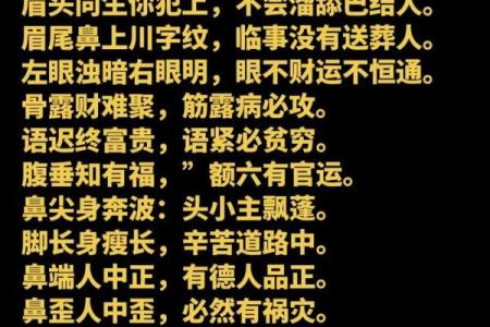 男相女貌，揭秘面相中的神秘魅力