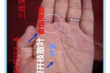 手相揭秘：离宫田米暗示你的财富命运