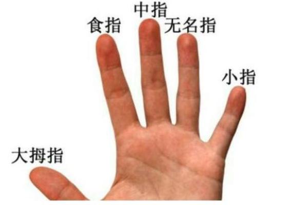 一指窥命运：揭秘手相奥秘