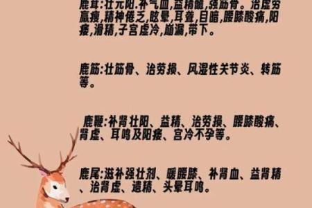 最受欢迎的鹿名字大全 快来挑选一个