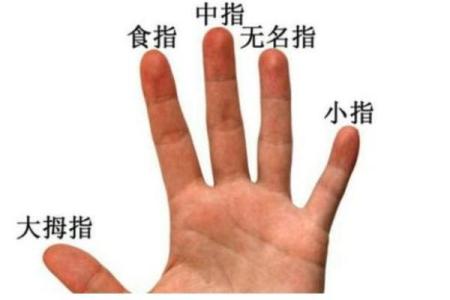 一指窥命运：揭秘手相奥秘