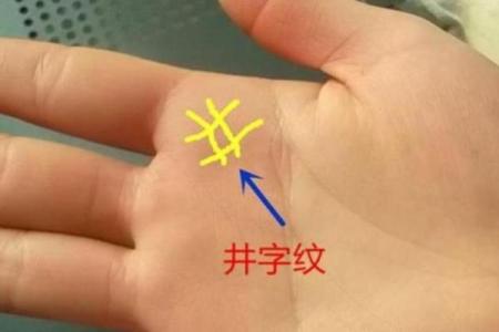 井zi纹在手，财运亨通，揭秘手相中的财富密码