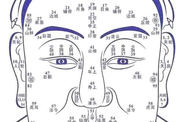 耳轮耳廓面相揭秘：洞察命运与性格的秘密