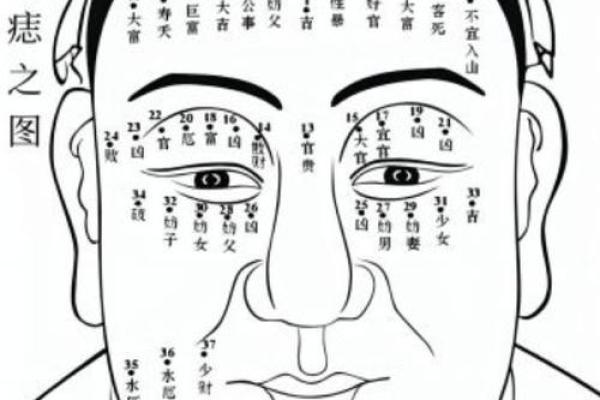 面相揭秘：一眼识人，揭秘你的命运密码