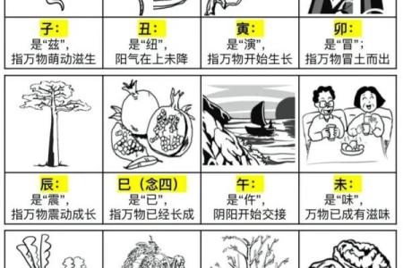 时辰与天干的完美配对，你不知道的五大秘诀