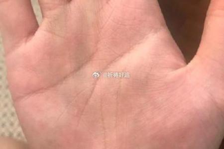 八字手相解码：揭秘你的运势密码，轻松化解命运之谜