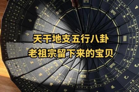 五行八卦解密：天干地支运势大揭秘