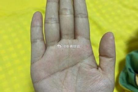 手相暗藏玄机：揭秘考不上高中的惊人秘密