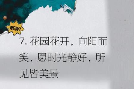 如何为你的花园起个独特名字，瞬间提升格调