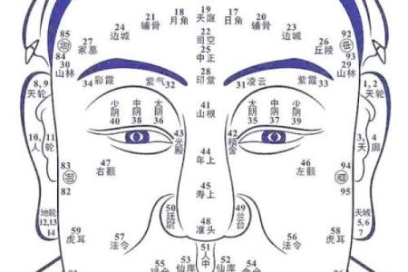 耳轮耳廓面相揭秘：洞察命运与性格的秘密