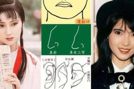 董力八字面相揭秘：揭秘明星面相与命运之谜